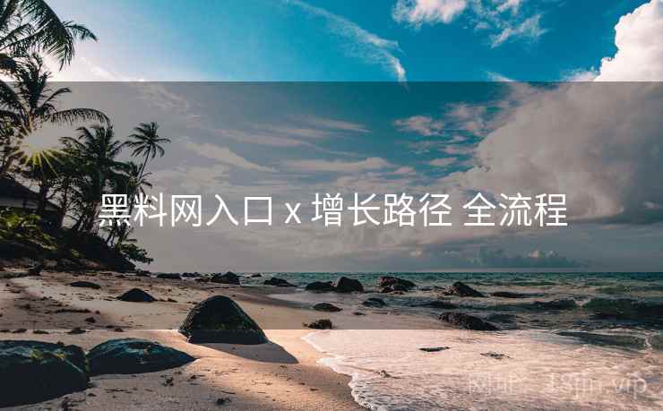 黑料网入口 x 增长路径 全流程