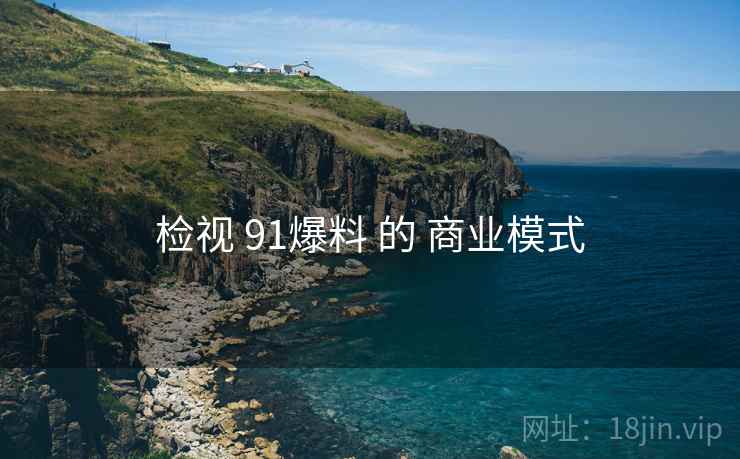 检视 91爆料 的 商业模式
