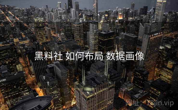 黑料社 如何布局 数据画像