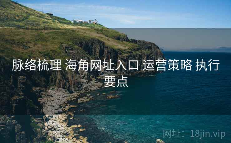 脉络梳理 海角网址入口 运营策略 执行要点