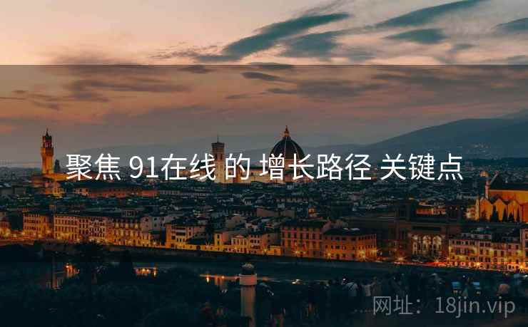 聚焦 91在线 的 增长路径 关键点