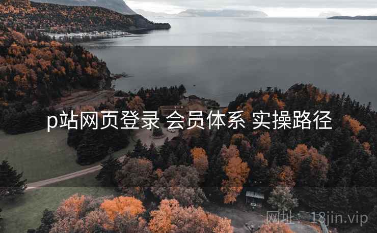 p站网页登录 会员体系 实操路径