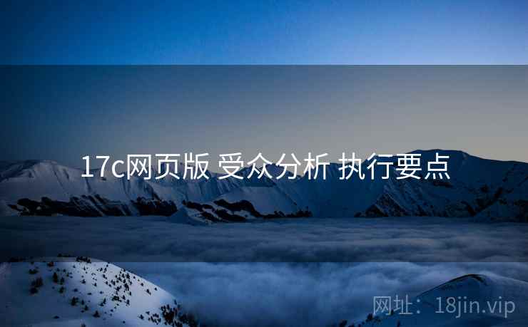 17c网页版 受众分析 执行要点