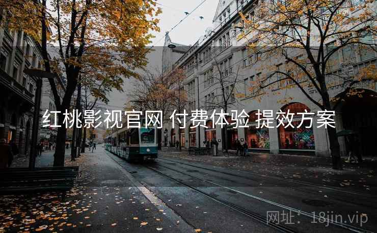 红桃影视官网 付费体验 提效方案